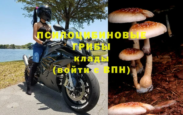 СК Анива