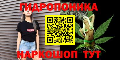 стаф Берёзовский