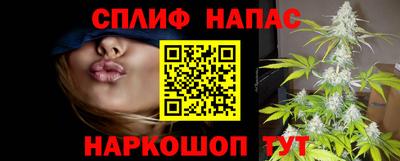 стаф Берёзовский