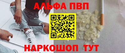 стаф Берёзовский