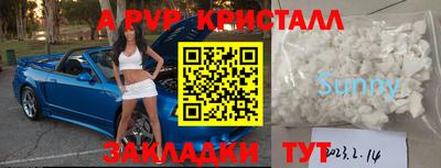 стаф Берёзовский