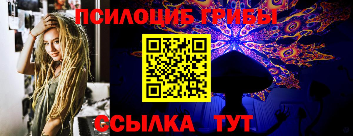 Псилоцибиновые грибы Cubensis  Вход с VPN  Борзя 