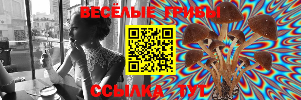 Псилоцибиновые грибы Psilocybine cubensis Борзя