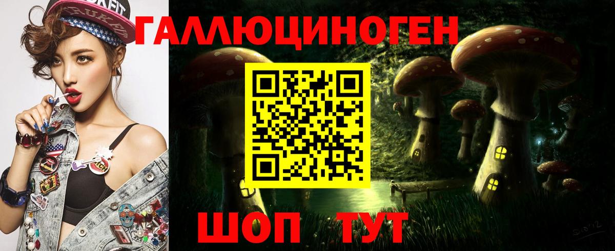 Псилоцибиновые грибы Psilocybine cubensis Борзя